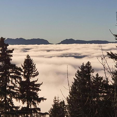 Apartament Chamrousse 1700 - Asters A03 Zewnętrze zdjęcie