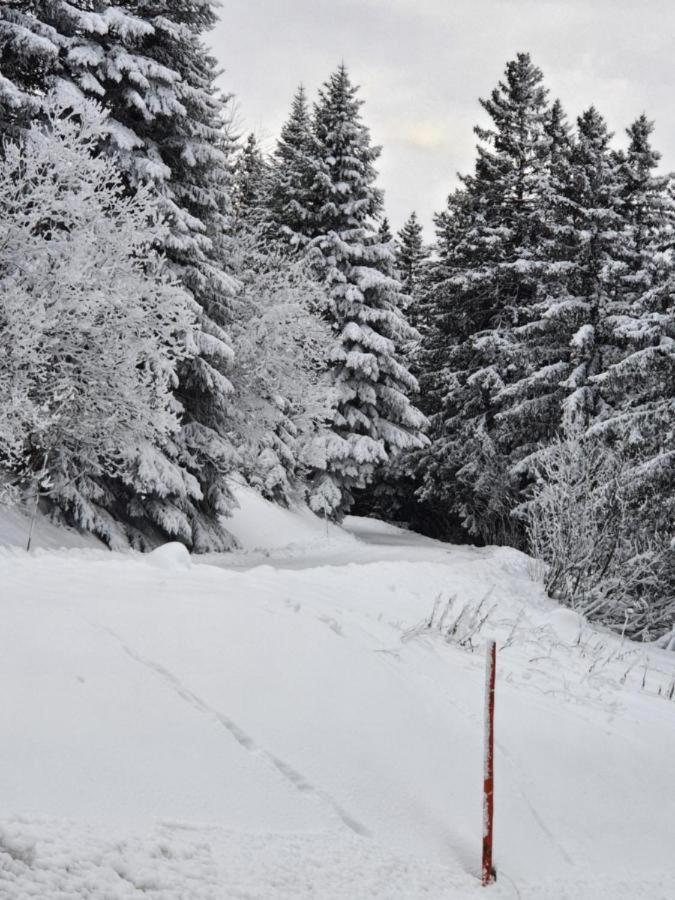 Apartament Chamrousse 1700 - Asters A03 Zewnętrze zdjęcie
